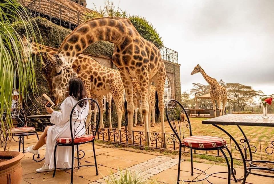 Giraffe Manor Kenya: The Definitive 2026/27 Guide to Costs, Rooms, Booking and Whether It's Worth It