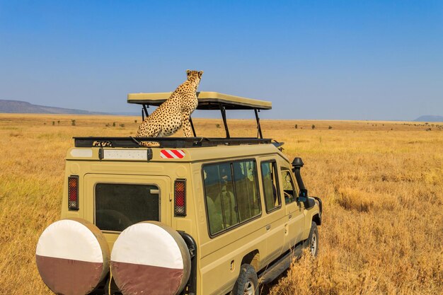 Top safari routes in Kenya & Tanzania with Beyond the Plains Safaris.
